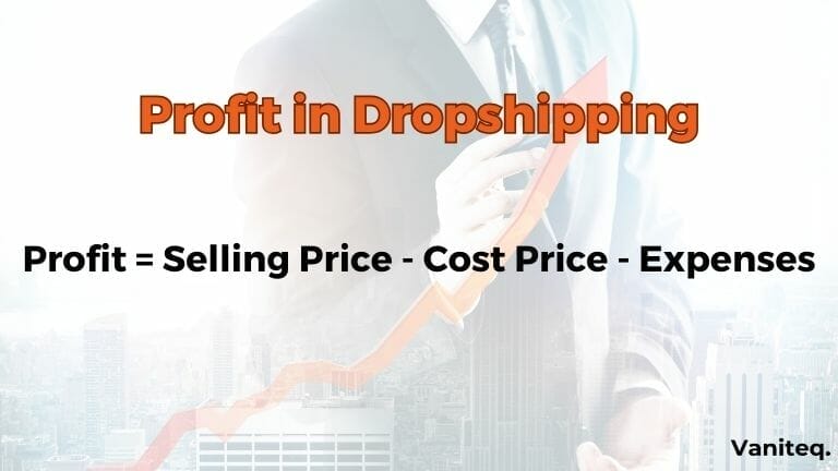 Profit in Dropshipping